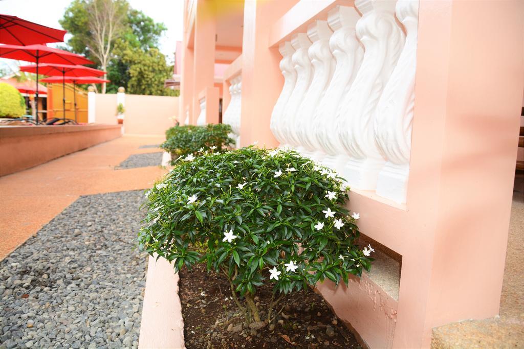 Alona Studios Apartment Hotel Panglao Luaran gambar